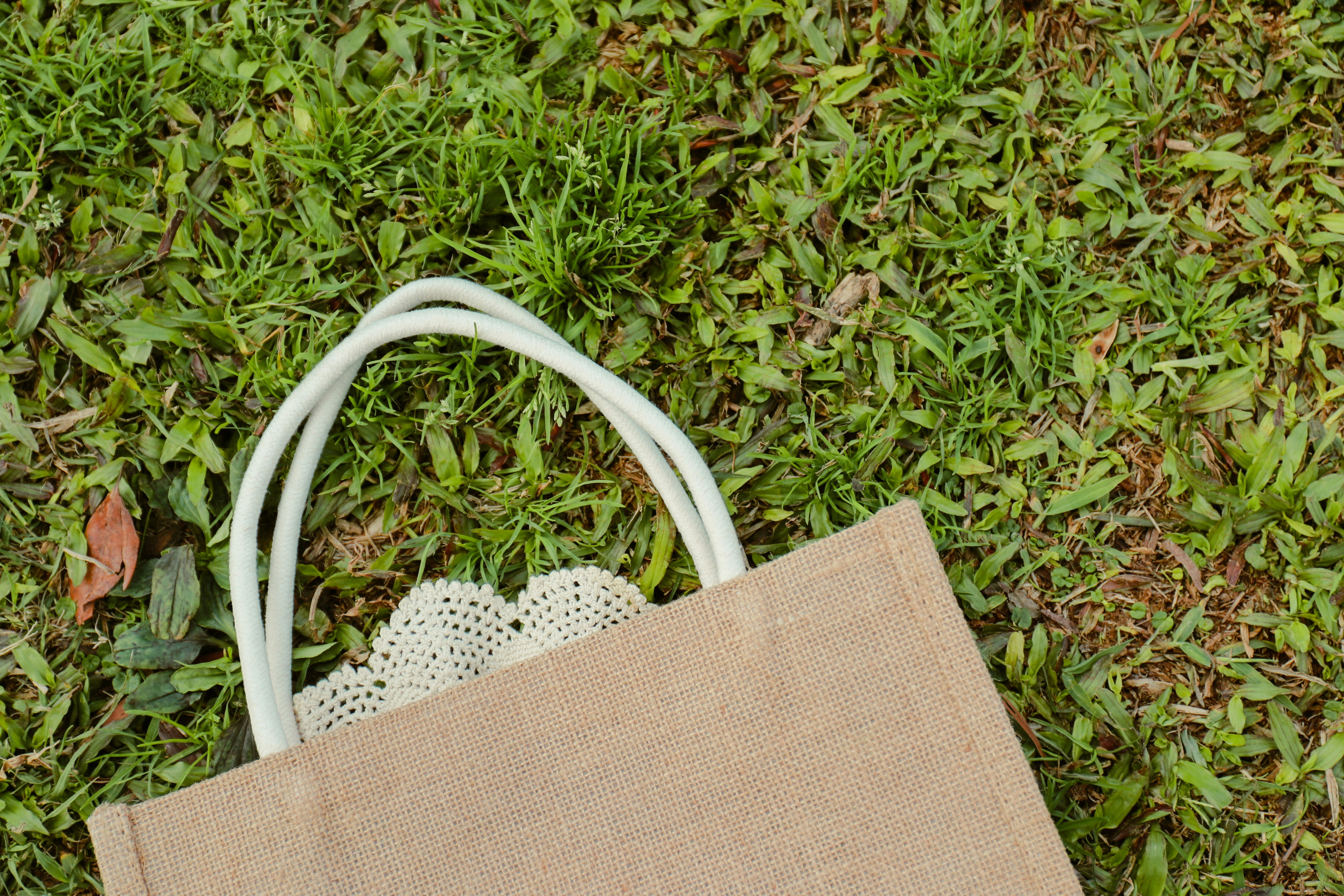 Bags